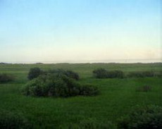 западно-сибирская равнина