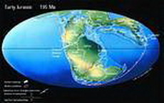 тектоника литосферных плит и дрейф континентов