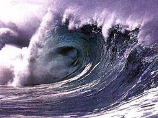 цунами может затопить сахалин и часть камчатки в ближайшие десятилетия